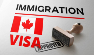 Canada Launches New Permanent Residency Pilots to Boost Rural and Francophone Communities