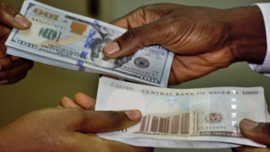 Naira Gains Slightly Against Dollar Amid Ongoing Currency Pressures