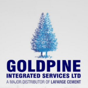 Exciting Job Opportunity at Goldpine Integrated Services Limited: Hiring a Senior Accountant