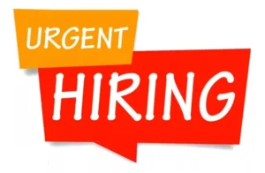 Urgent Recruitment for Executive Driver - Join a Prestigious Company Today!