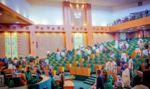 Constitution Review Sparks Debate as Reps Panel Receives 31 Requests for New States’ Creation