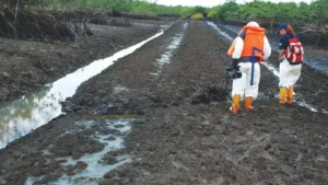 Planned Oil Exploration Resumption Sparks Tensions as Ogoni People Insist on Community Involvement