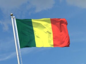 Mali Demands US Prosecution of Officials Who Diverted USAID Funds to Boko Haram and Destabilised West Africa