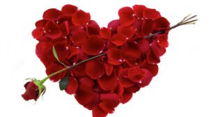 Valentine’s Day Celebration Should Be Banned in Nigeria Says Lagos Bishop